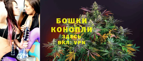 хмурый Карпинск