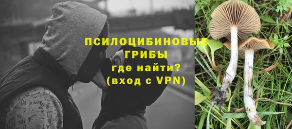 ALPHA-PVP Касимов