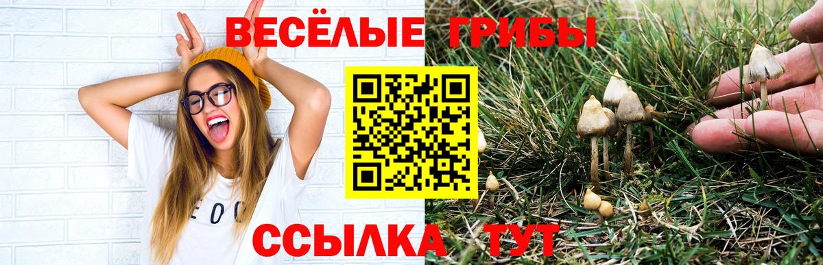 Псилоцибиновые грибы GOLDEN TEACHER Учалы